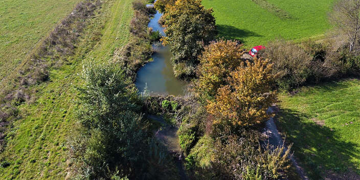 Revitalisierter Abschnitt des Biberenbach